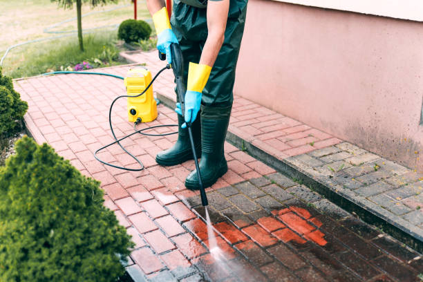 Best Eco-Friendly Pressure Washing in Kingston, NJ